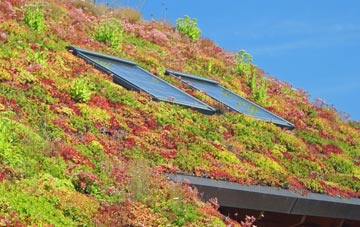 Cwm Irfon living roof systems