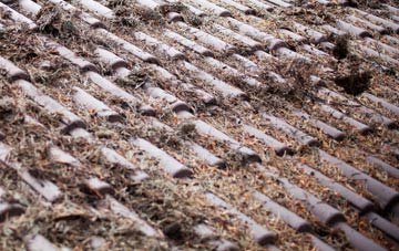 Cwm Irfon roof cleaning companies