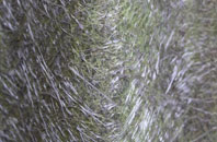 Cwm Irfon fibreglass roof work